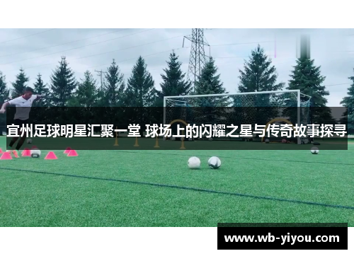 宜州足球明星汇聚一堂 球场上的闪耀之星与传奇故事探寻